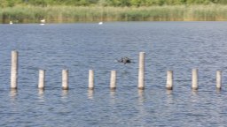 lac du bourget 2